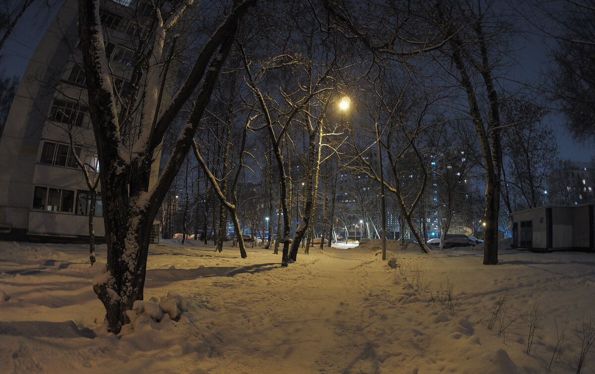 Зимний Вечер в Городе - юрий поляков