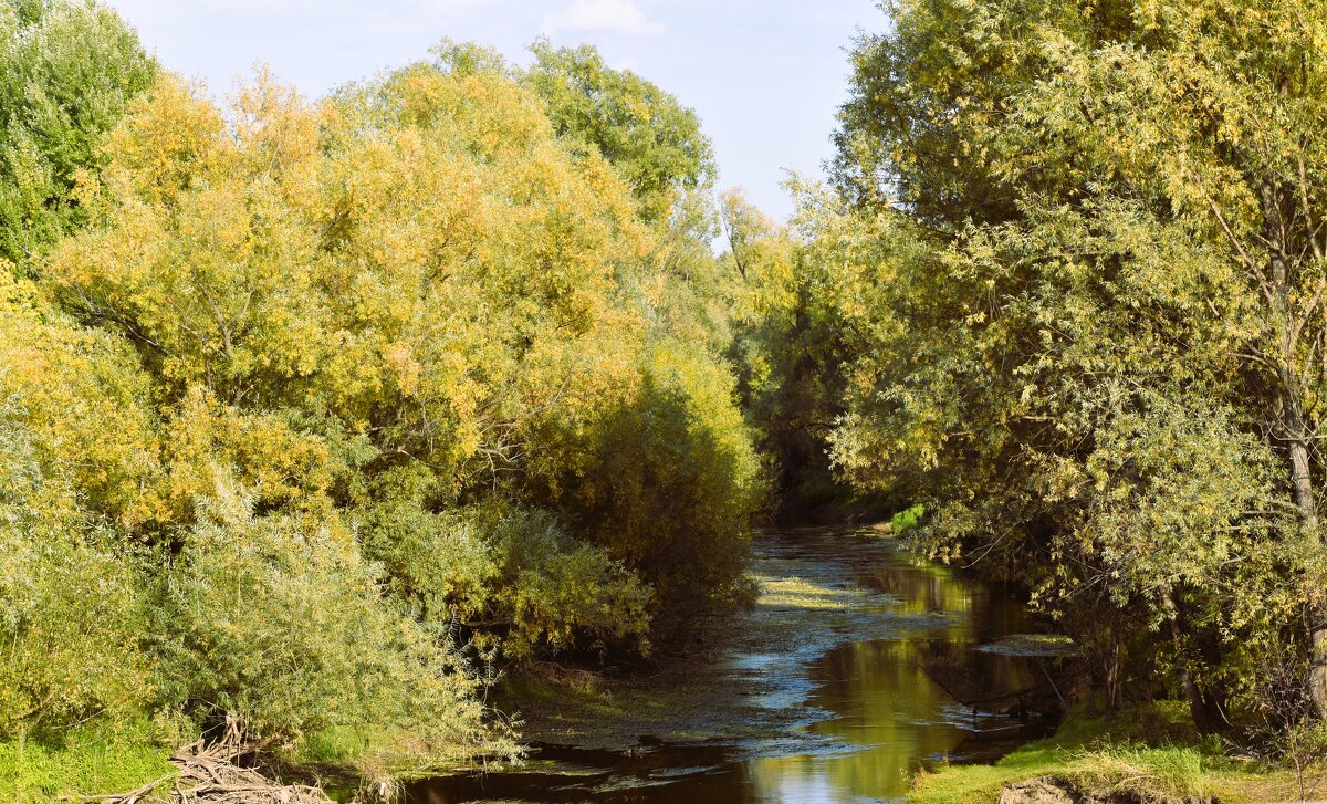 *** - Валентина 