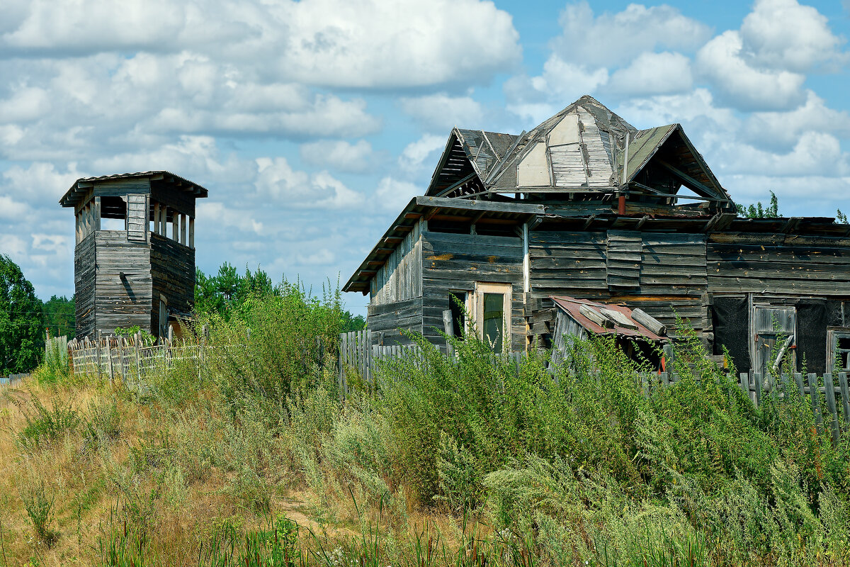 Сибирская глубинка. Домики в деревне - Дмитрий Конев