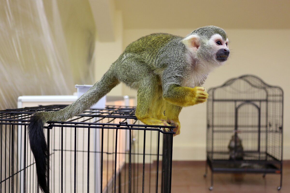 Сёма - Ольга Сёма - Ольга