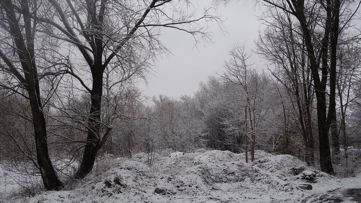 Янтарь - Рита Симонова