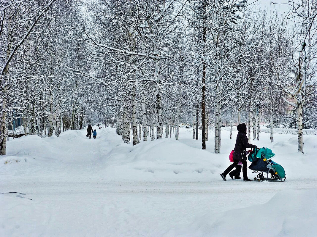 Февраль...Снежный день в городе! - Владимир 