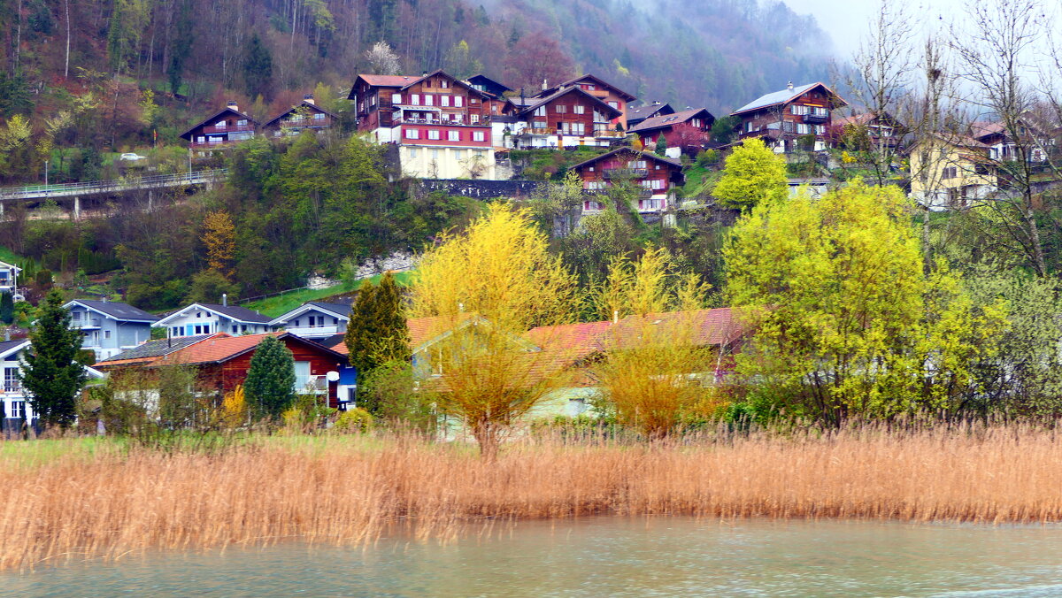 Brienz Schweiz  - "The Natural World" Александер