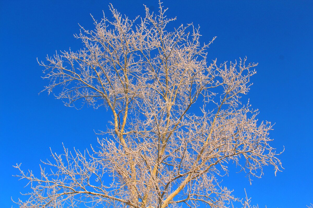 Хороший денек - владимир тимошенко 