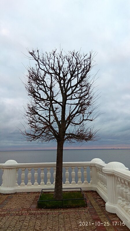 Квадрат...почти Малевич - Елена Квадрат...почти Малевич - Елена