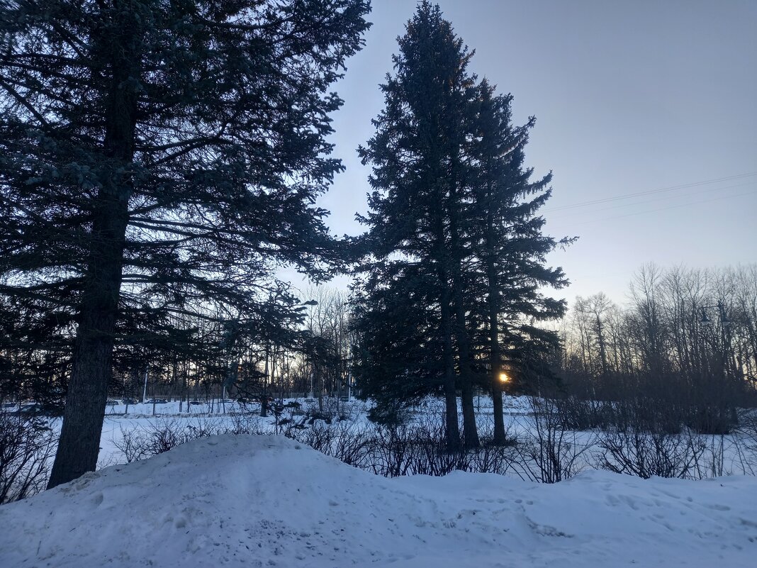 Закат - Сапсан 