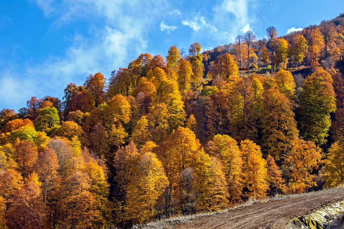 По дороге ... - Kirill 