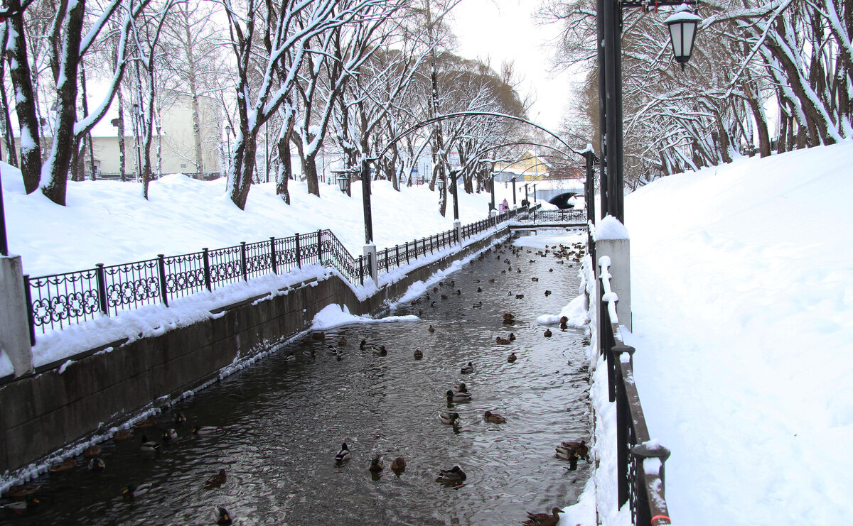 В Райском саду. - Евгений Шафер