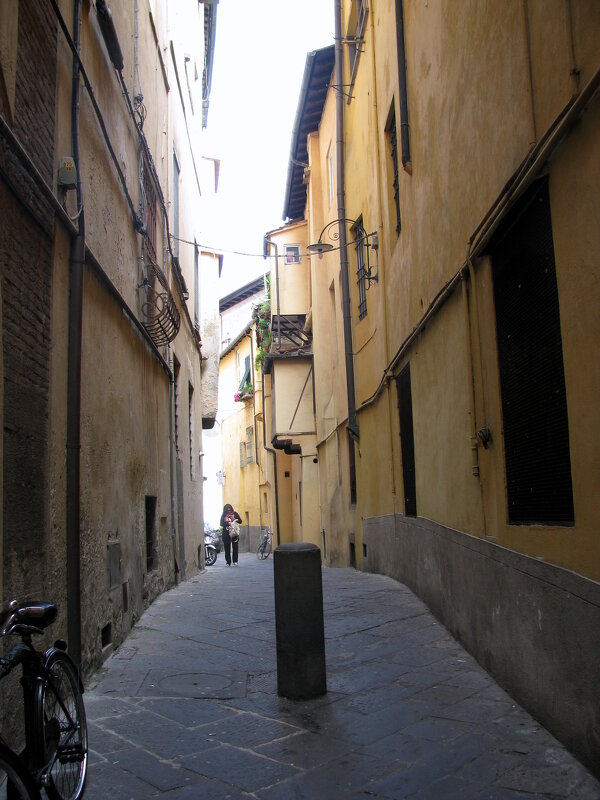 Флоренция. - Владимир Драгунский Флоренция. - Владимир Драгунский