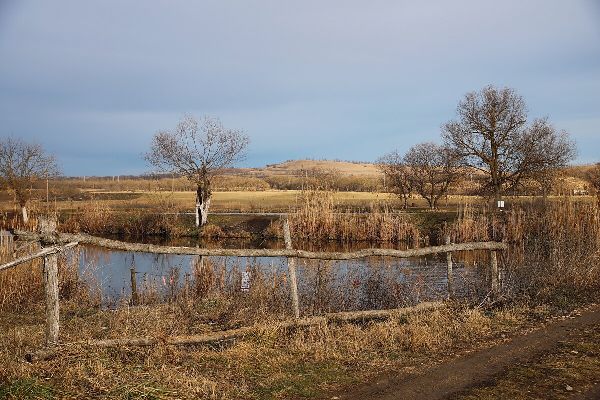 Пейзаж с плетенью - M Marikfoto