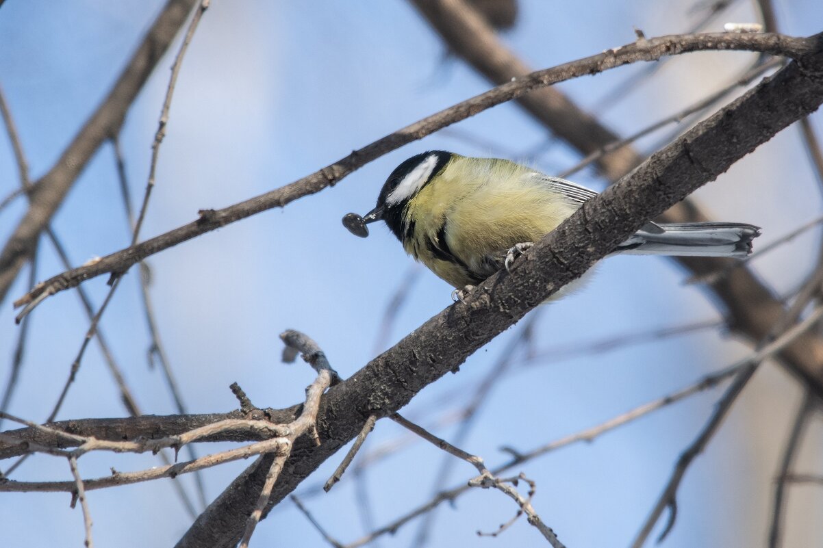 *** - Виктор Иванович Чернюк *** - Виктор Иванович Чернюк