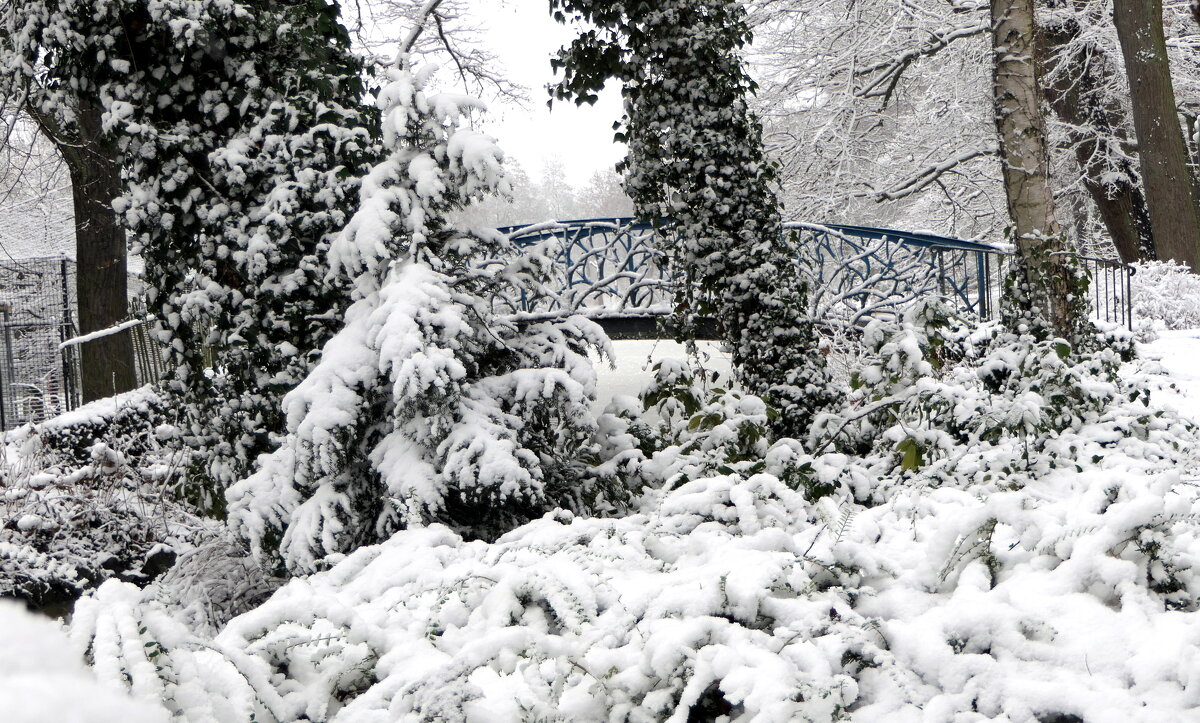 "The Natural World" (Мир Природы) В зимнем лесу у озера... - "The Natural World" Александер "The Natural World" (Мир Природы) В зимнем лесу у озера... - "The Natural World" Александер