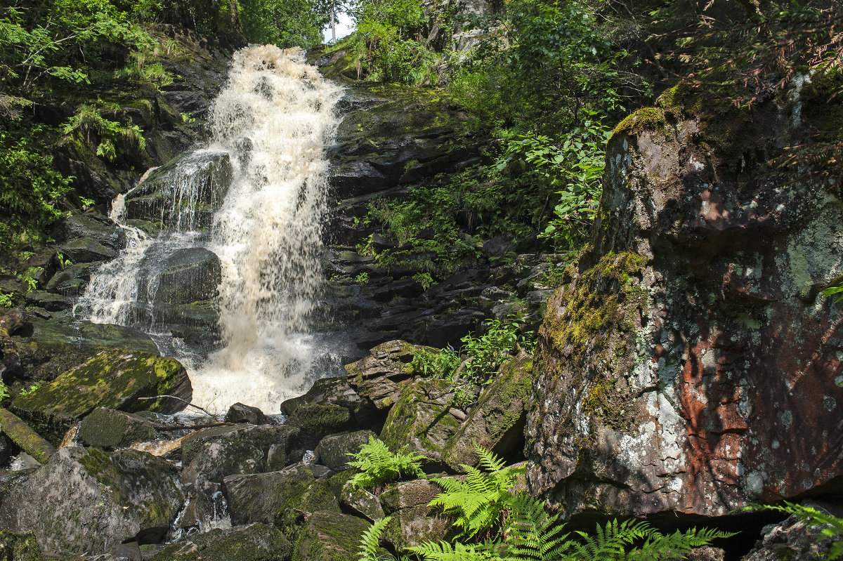 Карелия. - Виктор 