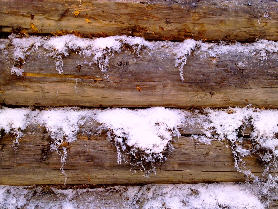 Дерево.... - Екатерина Павлова