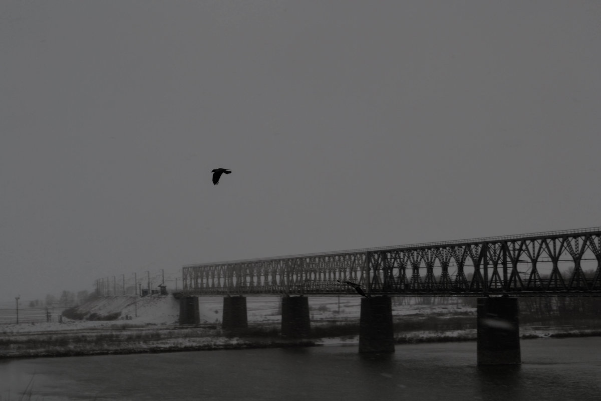 мост на Иртыше - Олеся мост на Иртыше - Олеся