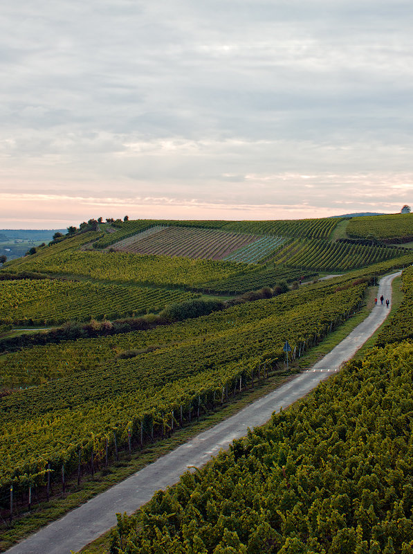 Rüdesheim am Rhein - Lina Kurbanovsky