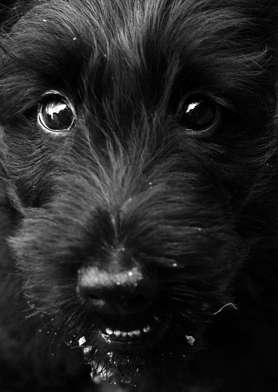 ... - Света Гончарова