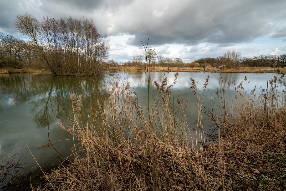 В середине марта... - Николай Гирш В середине марта... - Николай Гирш