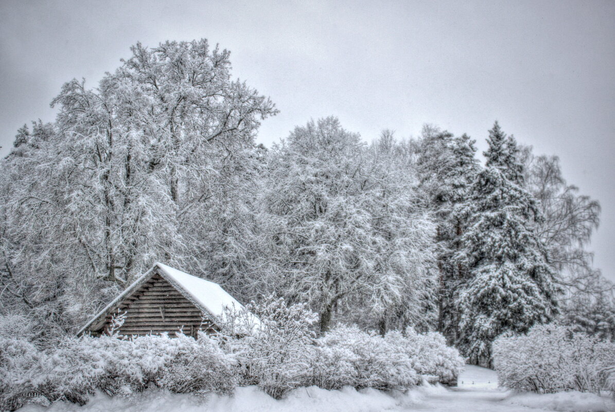 Михайловское Пушкинские Горы - Andrey Lomakin Михайловское Пушкинские Горы - Andrey Lomakin