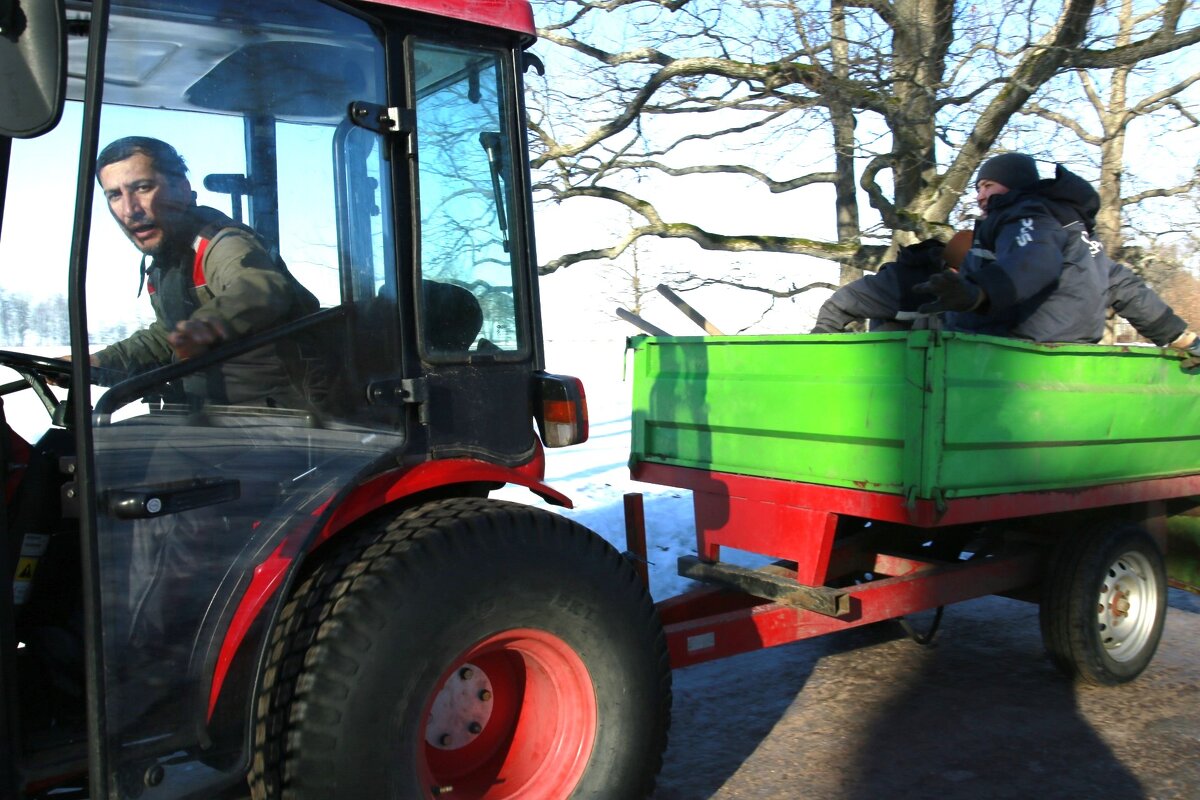 Уборка парка - Танзиля Завьялова Уборка парка - Танзиля Завьялова