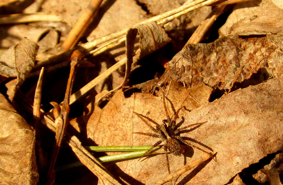 в последние дни зимы 2024 2 - Александр Прокудин в последние дни зимы 2024 2 - Александр Прокудин