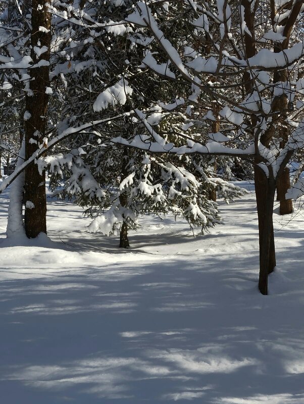 Almaty. - Murat Bukaev 