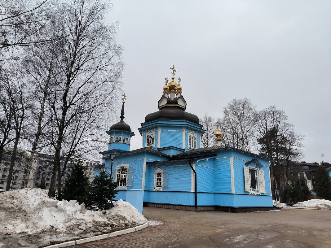 Церковь Дмитрия Солунского. - Ольга 