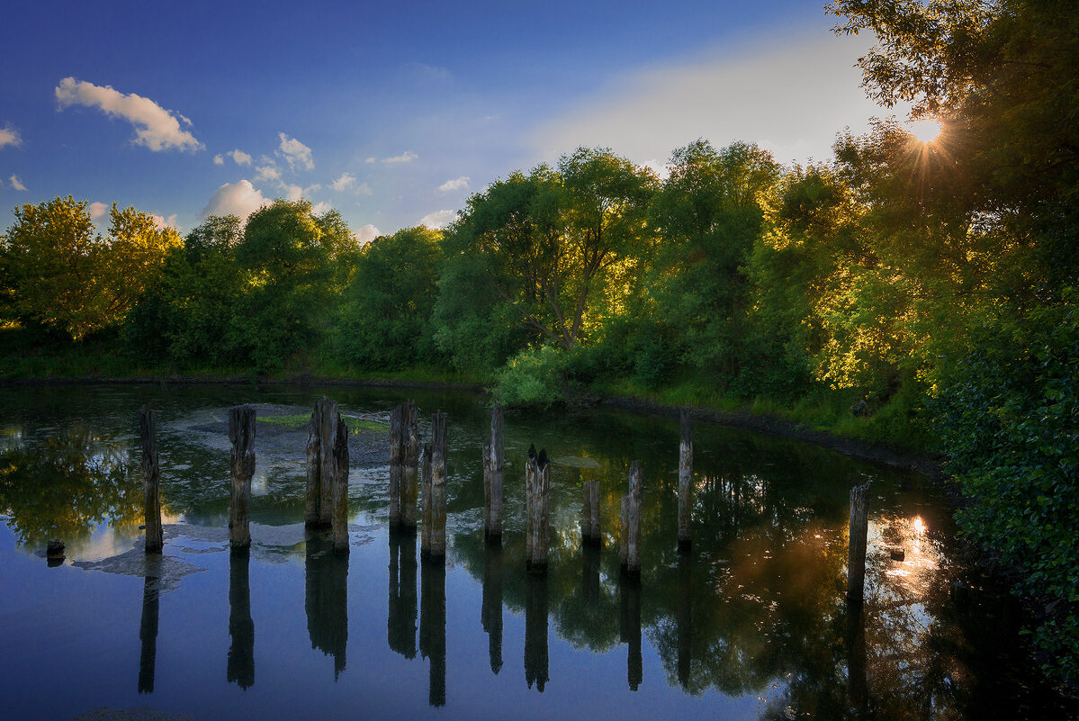 Старый пруд... - Влад Никишин