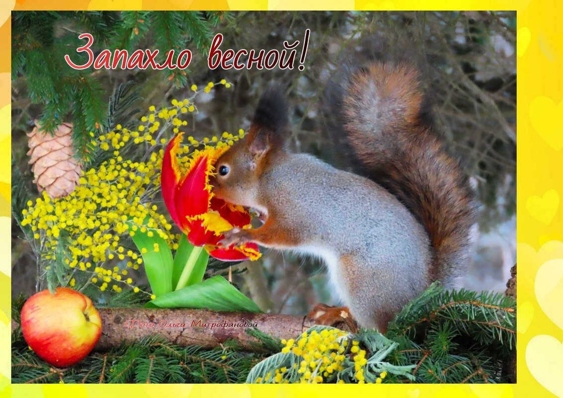 Запахло весной ! - Ольга Митрофанова