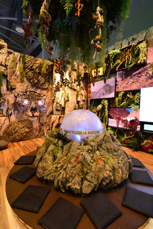 экостолица России -Алтай - Галина R...