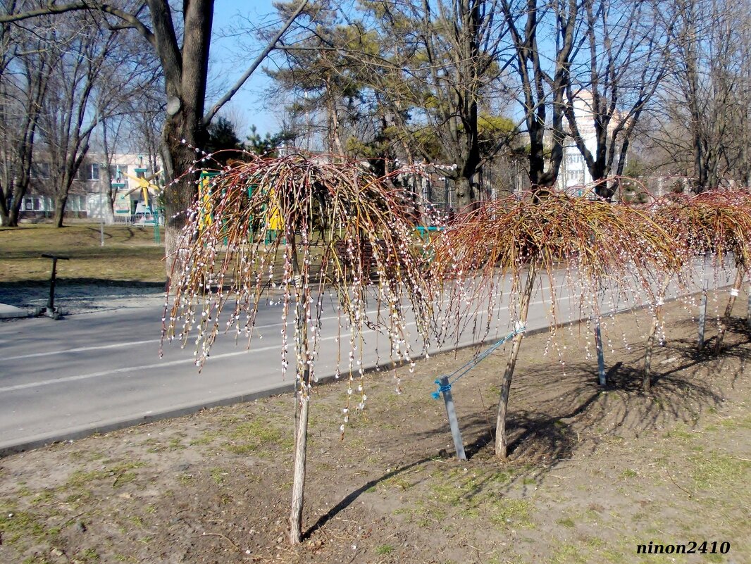 Март - Нина Бутко