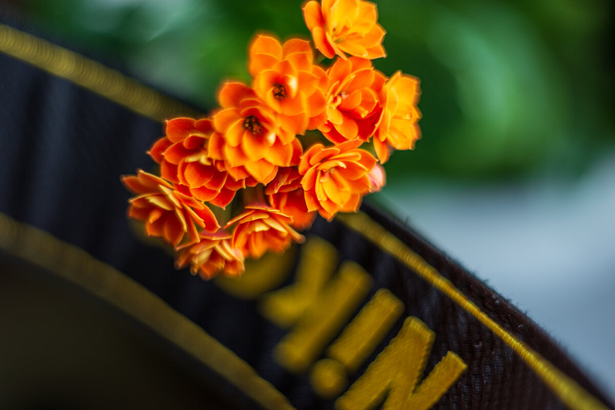 каланхоя - Александр Леонов