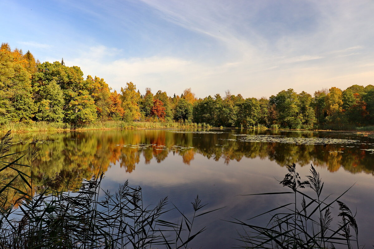 Озеро Детских слёз. Ивановская область. - Сергей Пиголкин Озеро Детских слёз. Ивановская область. - Сергей Пиголкин