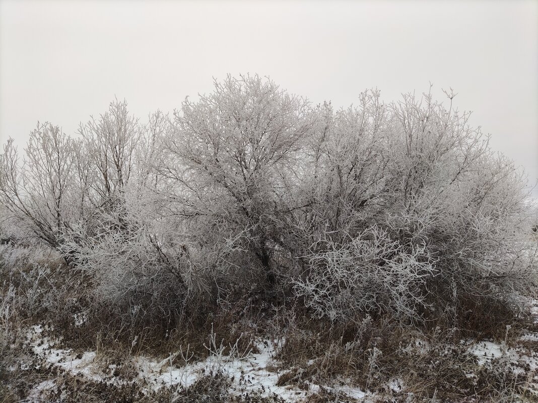 Морозное утро - Anna Ivanova Морозное утро - Anna Ivanova