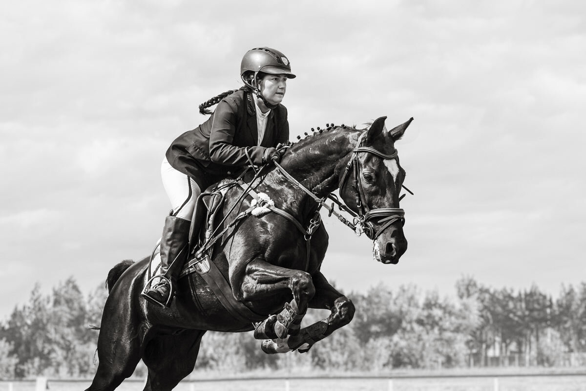 Конкур - SanSan 