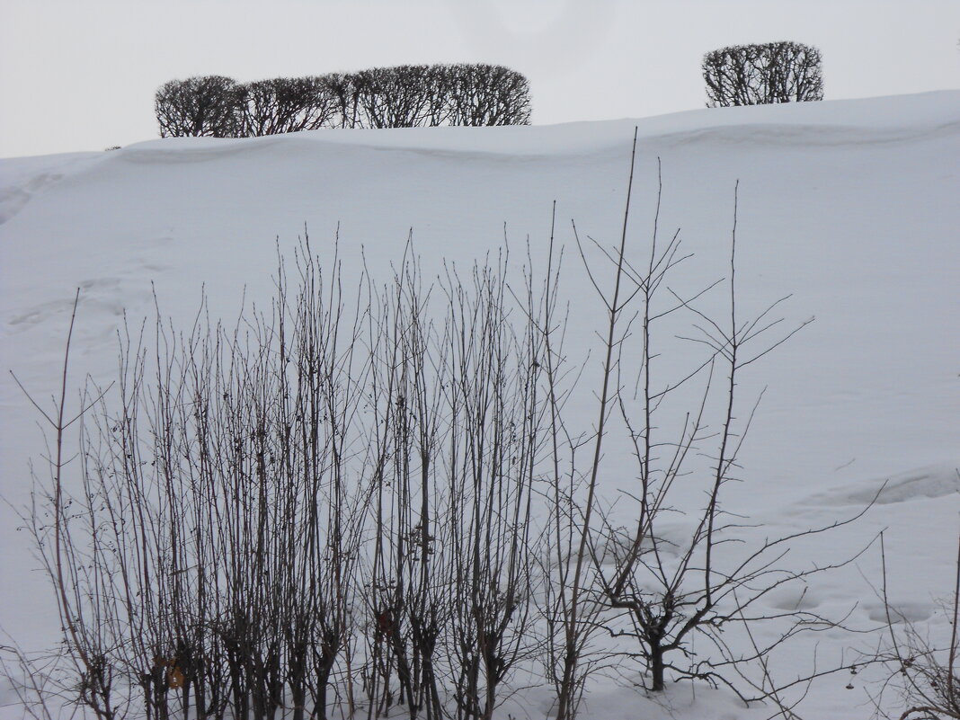 февральское - Елена Шаламова февральское - Елена Шаламова