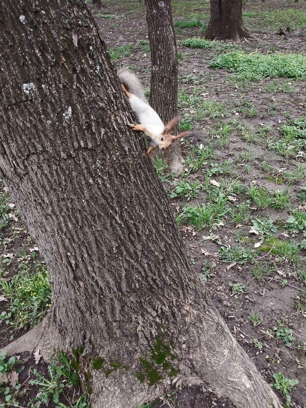 Almaty. - Murat Bukaev 