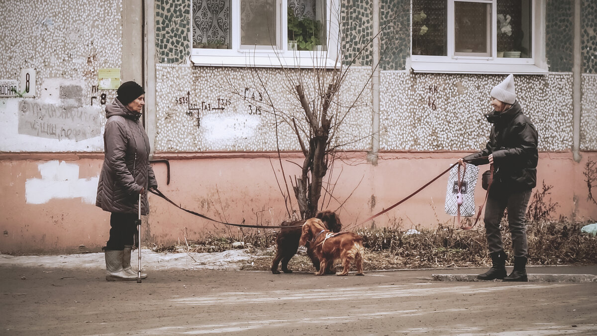 Плюх и Плих - Сергей Царёв