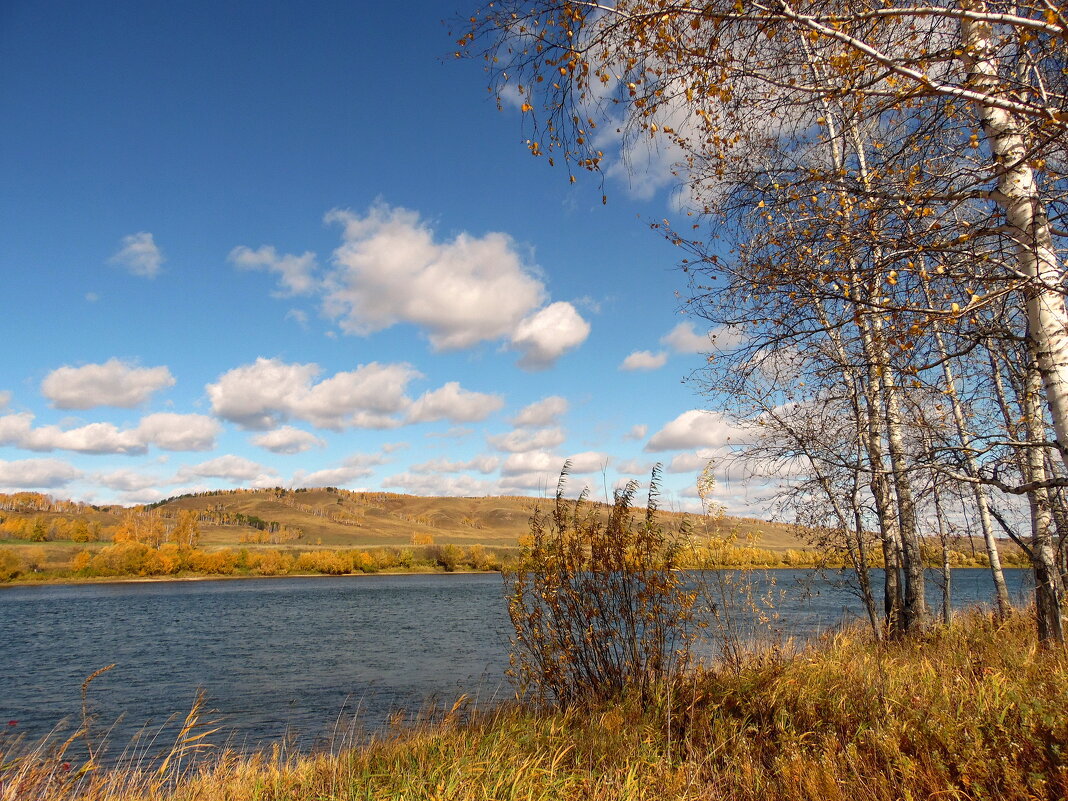 Осень у реки. - nadyasilyuk Вознюк Осень у реки. - nadyasilyuk Вознюк