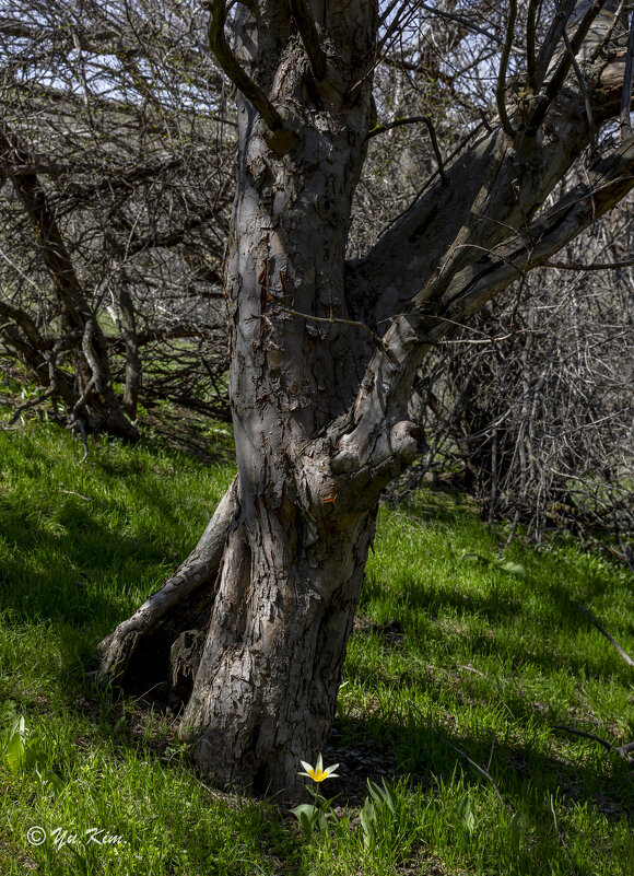 Бесконечное будущее – короткое прошлое... - atlanta 2001 Бесконечное будущее – короткое прошлое... - atlanta 2001