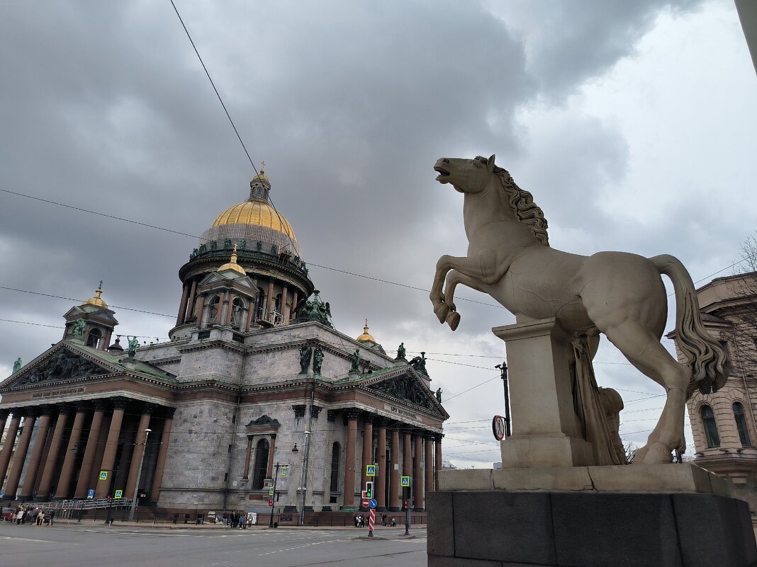 Серые дни Петербурга. - Ольга 