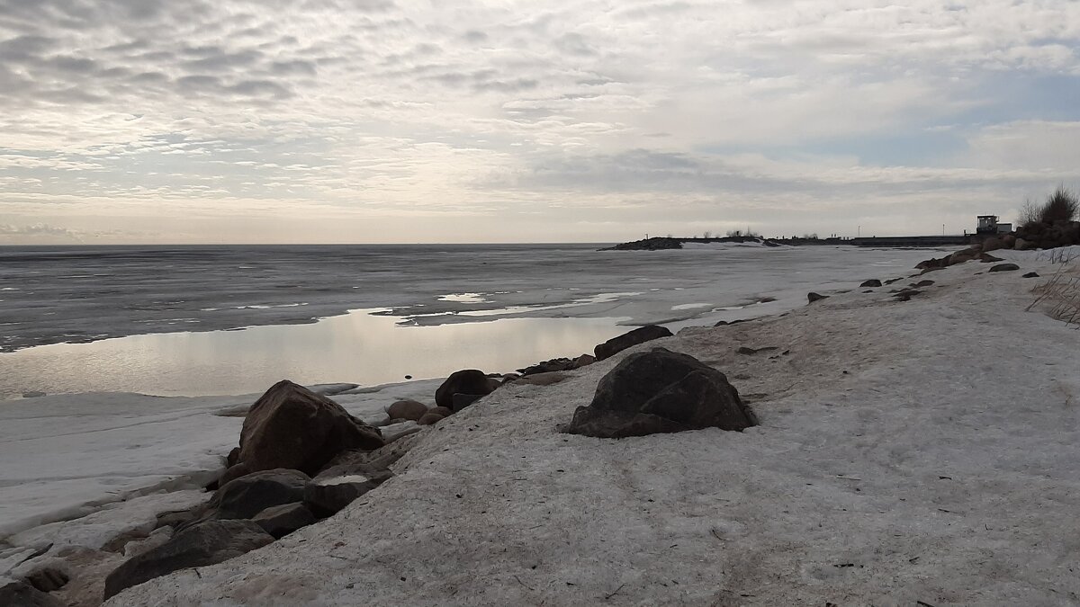 Зеленогорск - Наталья Герасимова