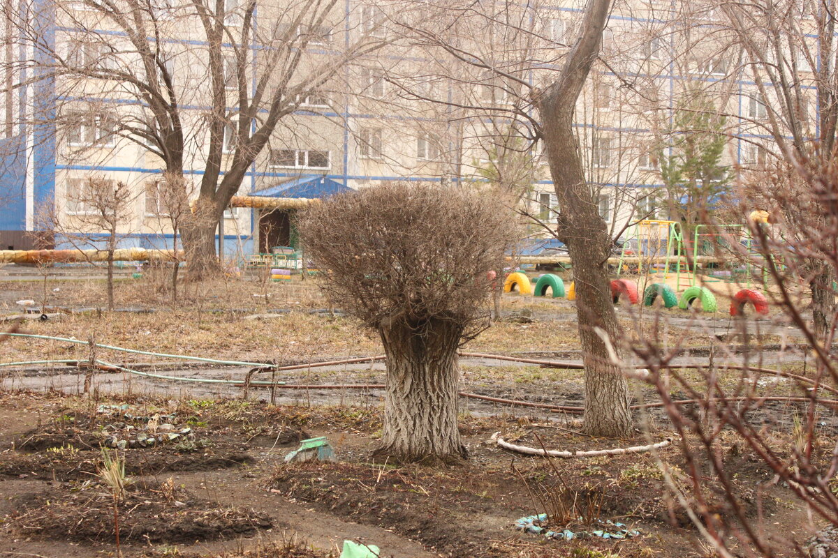 КУСТ - Комаровская Валерия  Леонардовна 