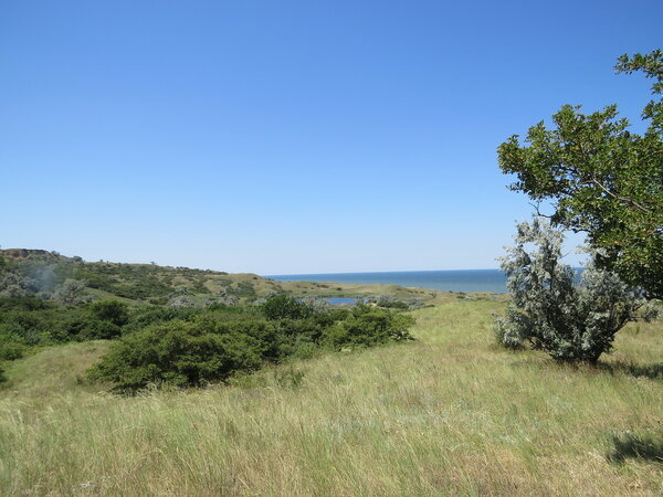 На берегу моря - Вера Щукина