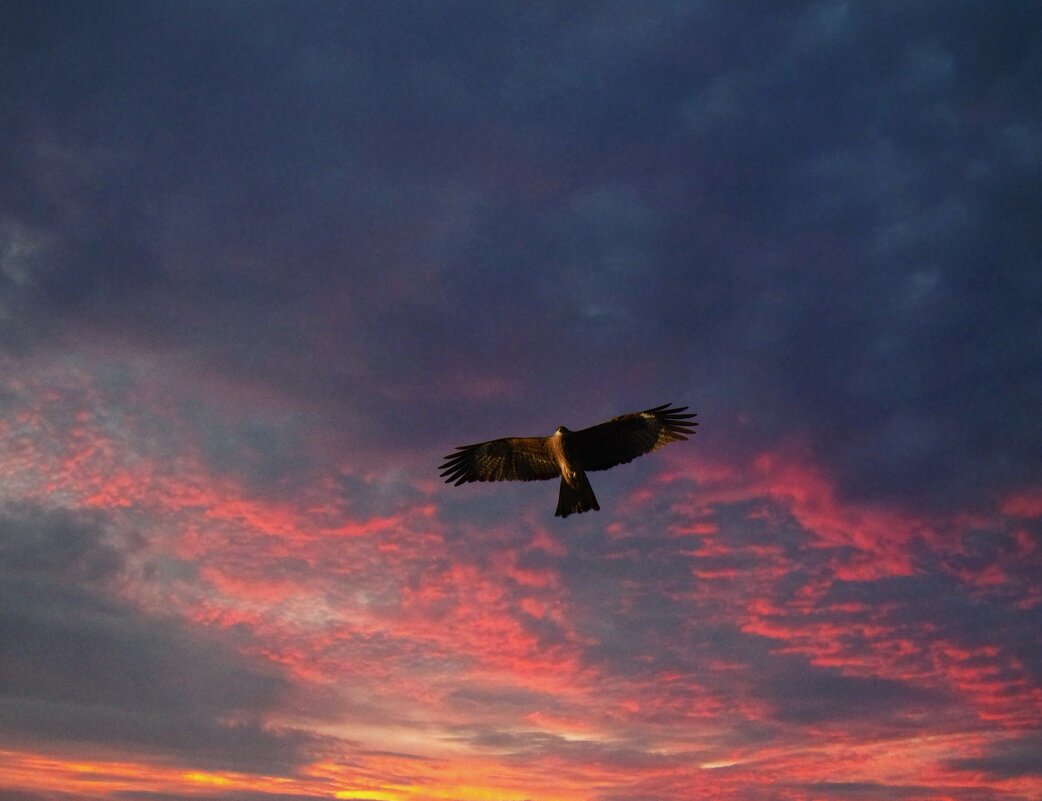 Дурные предчувствия - Сергей Шаврин