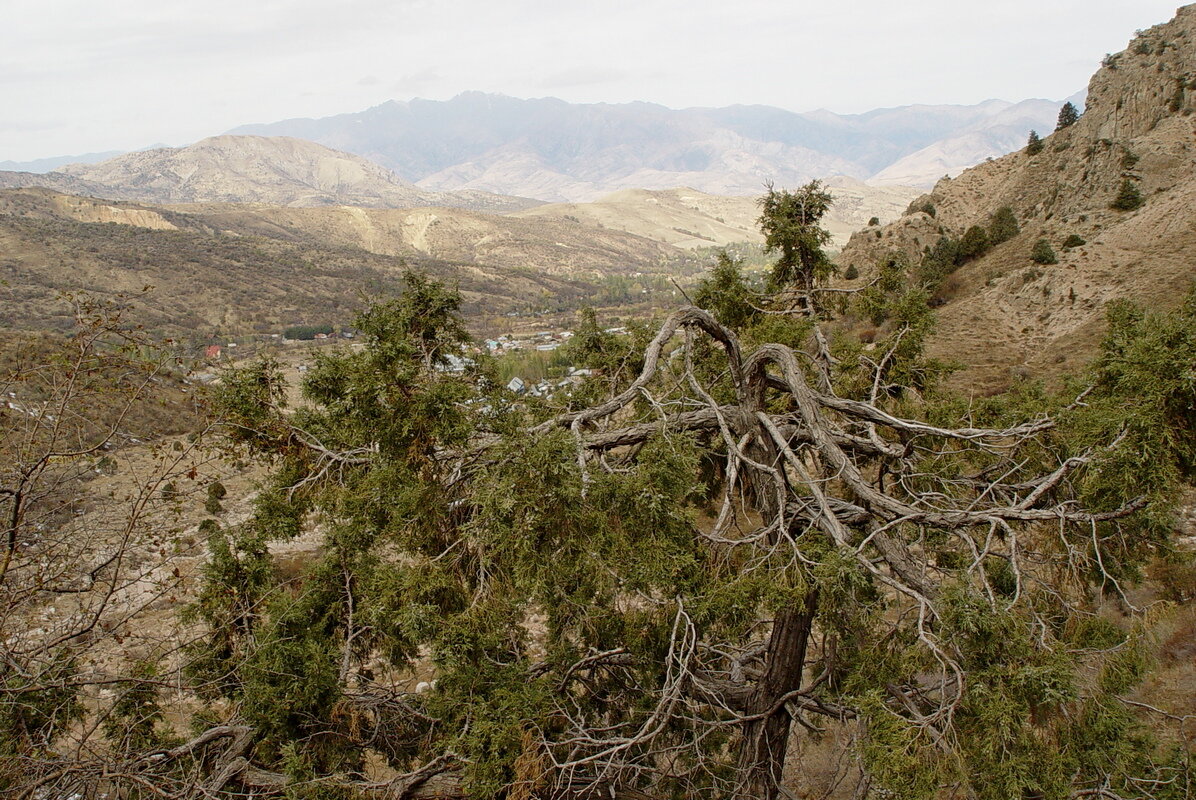 ПРОГУЛКА НАВЕРХ. - Виктор Осипчук
