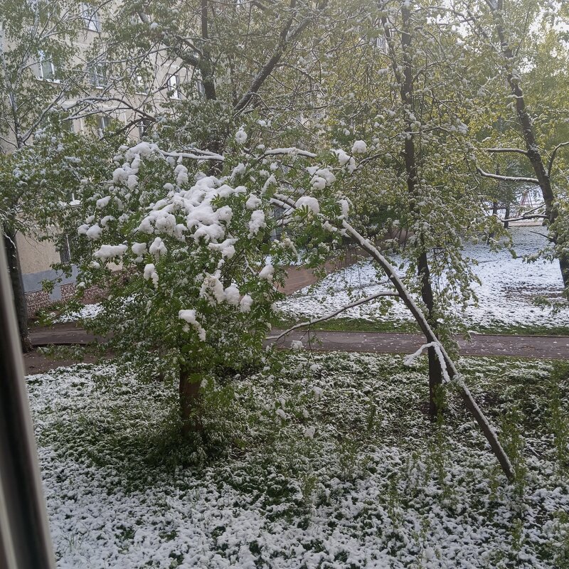 Май месяц 2024 года - Елена Семигина Май месяц 2024 года - Елена Семигина