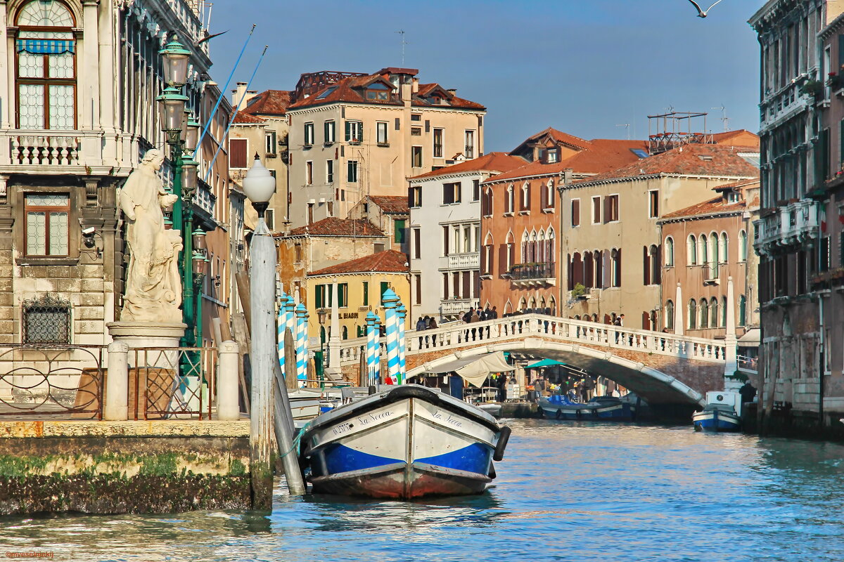 Солнечным предновогодним днем... - mveselnickij Солнечным предновогодним днем... - mveselnickij