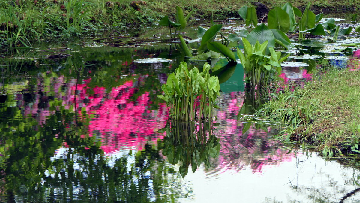 Botanische Gärten von Schloss "Trauttmansdorff" in Meran / Südtirol - Italien - "The Natural World" Александер