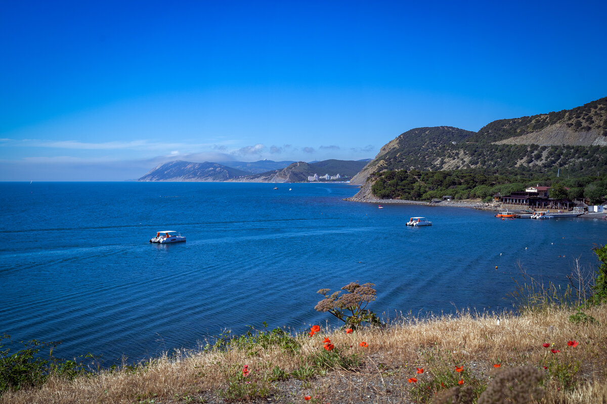 Море. Маки. Утриш. - Екатерина Рябинина Море. Маки. Утриш. - Екатерина Рябинина
